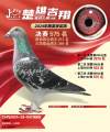 图片暂时未上传