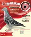图片暂时未上传