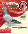 图片暂时未上传