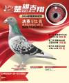 图片暂时未上传
