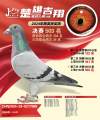 图片暂时未上传