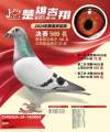 图片暂时未上传