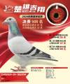 图片暂时未上传