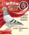 图片暂时未上传