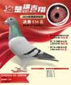 图片暂时未上传