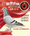 图片暂时未上传