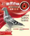 图片暂时未上传