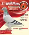图片暂时未上传