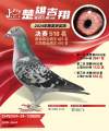 图片暂时未上传