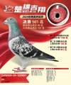 图片暂时未上传