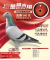 图片暂时未上传