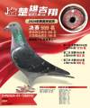 图片暂时未上传