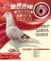 图片暂时未上传