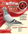 图片暂时未上传