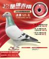 图片暂时未上传