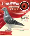 图片暂时未上传