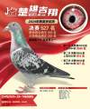图片暂时未上传