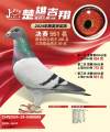 图片暂时未上传