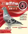 图片暂时未上传