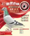 图片暂时未上传