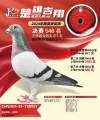 图片暂时未上传