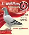 图片暂时未上传
