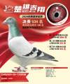 图片暂时未上传
