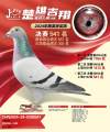 图片暂时未上传