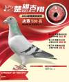 图片暂时未上传
