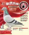 图片暂时未上传