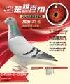 图片暂时未上传