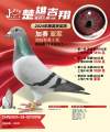 图片暂时未上传