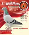 图片暂时未上传