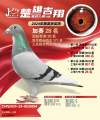 图片暂时未上传