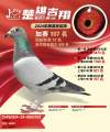 图片暂时未上传