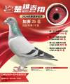 图片暂时未上传