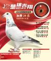 图片暂时未上传