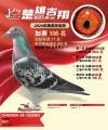 图片暂时未上传