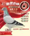 图片暂时未上传