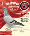 图片暂时未上传
