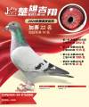 图片暂时未上传