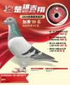 图片暂时未上传