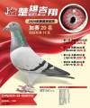 图片暂时未上传