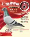 图片暂时未上传
