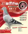 图片暂时未上传