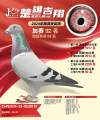 图片暂时未上传