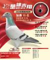 图片暂时未上传