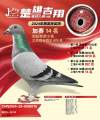 图片暂时未上传