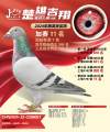 图片暂时未上传