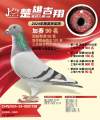 图片暂时未上传